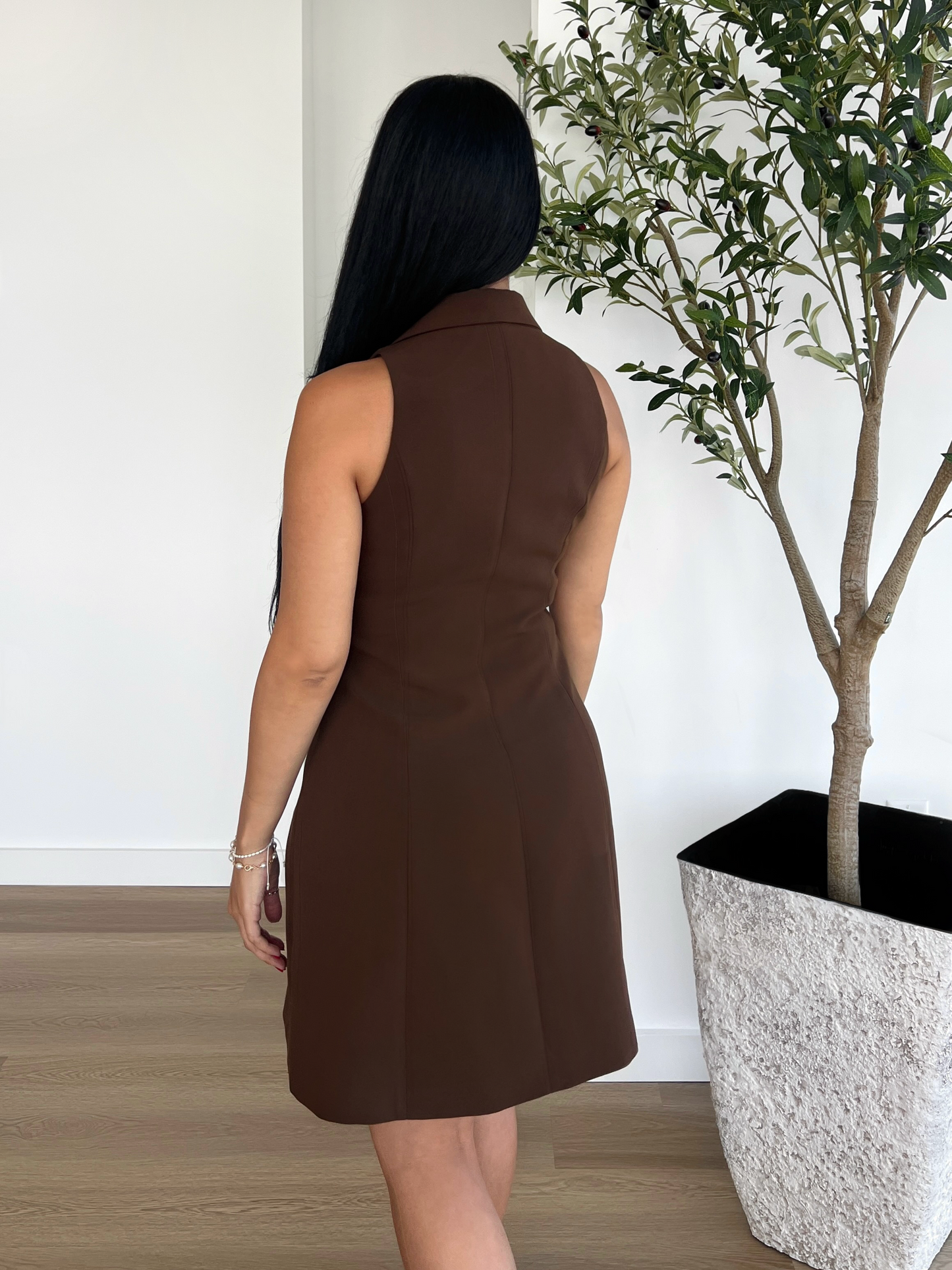 Chic Blazer Dress