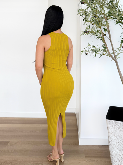 Curve Charm Bodycon