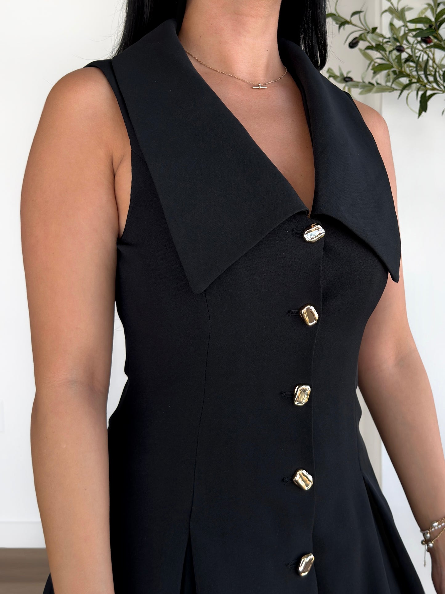 Luxe Collared Charm Dress